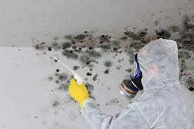 Best HVAC Mold Inspection and Cleaning in Mono Vista, CA